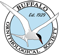 Buffalo Ornithological Society Logo