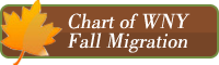 button link to WNY Fall Bird Migration Chart