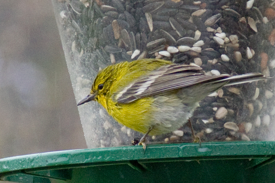 blog photo