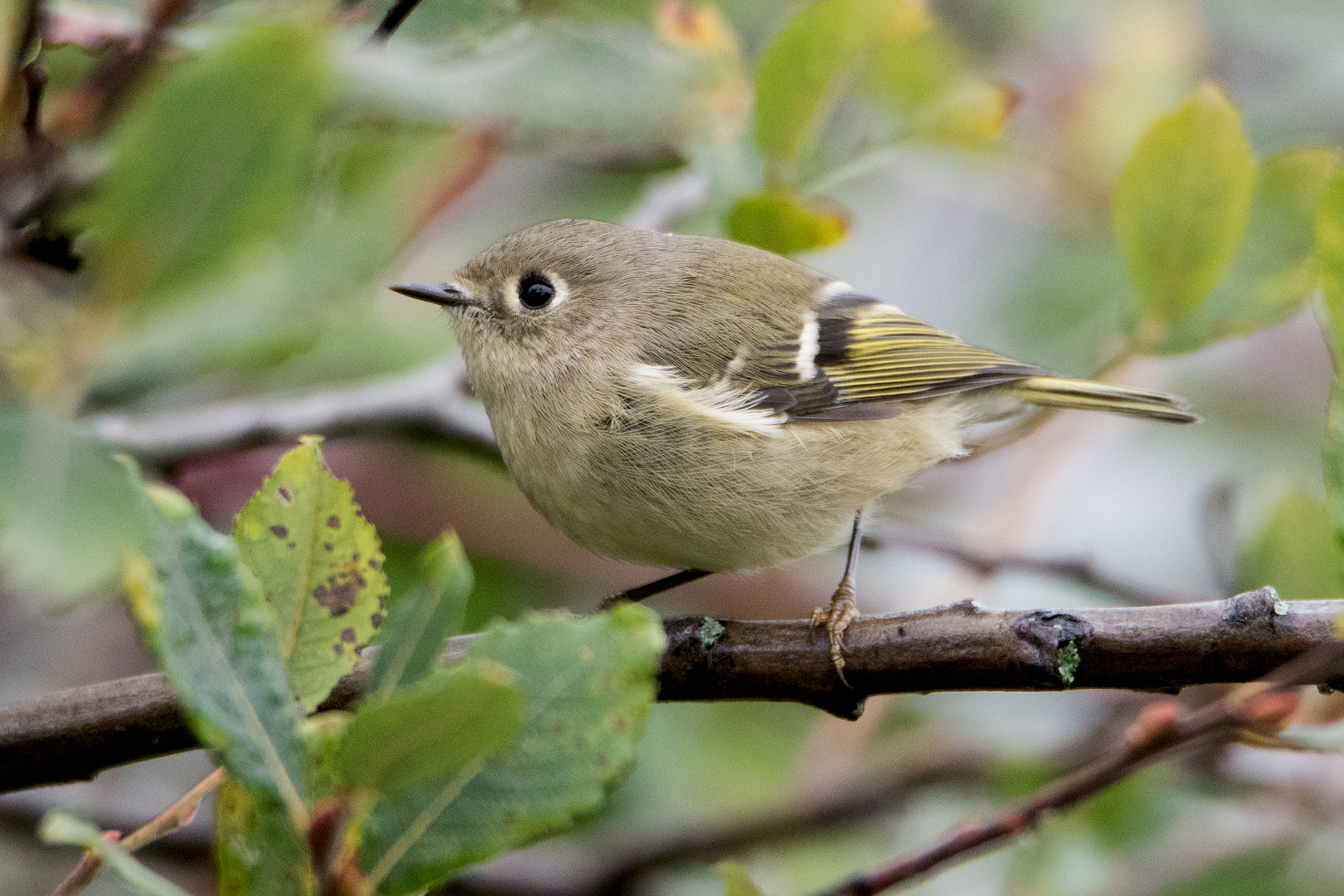 blog photo
