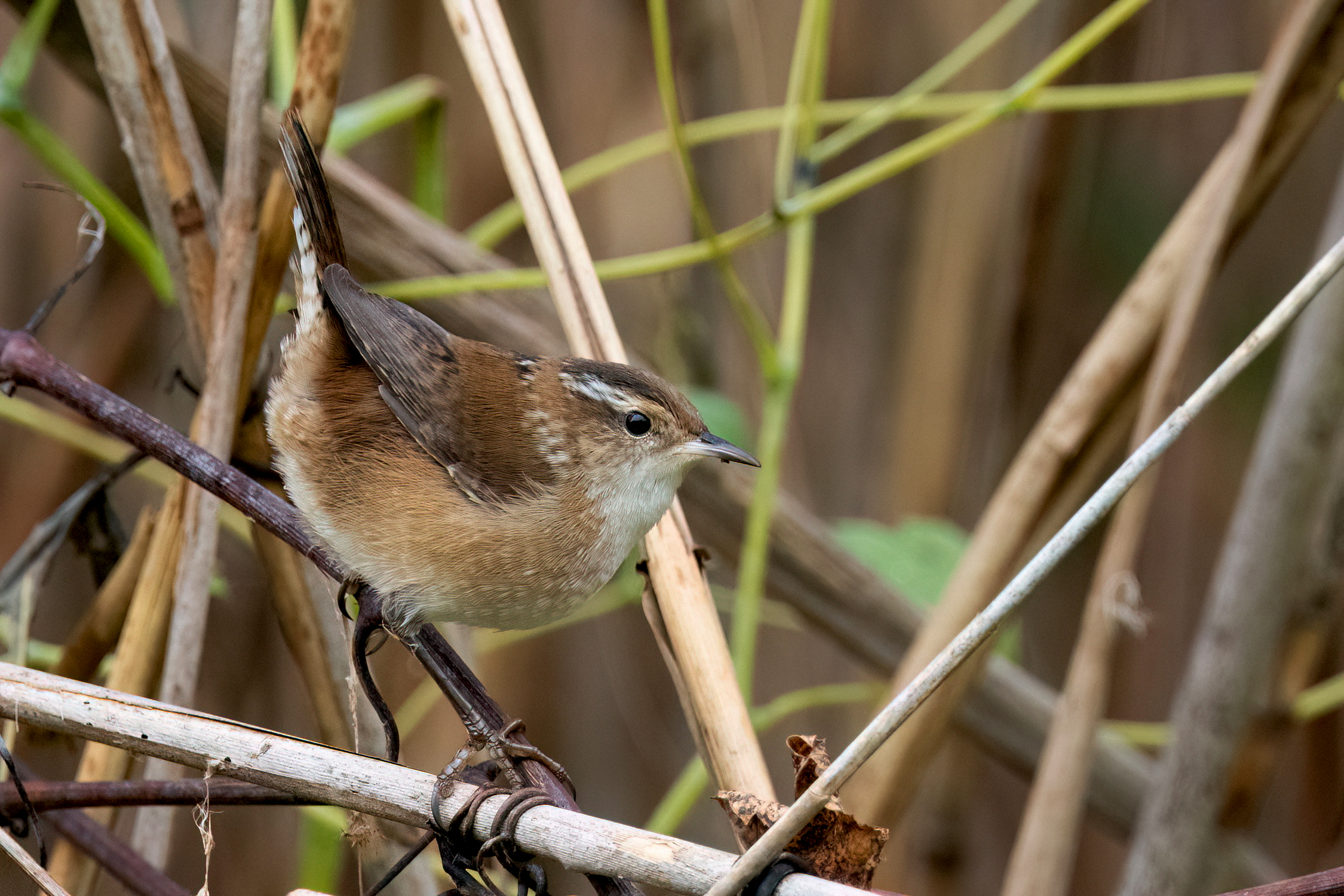 blog photo