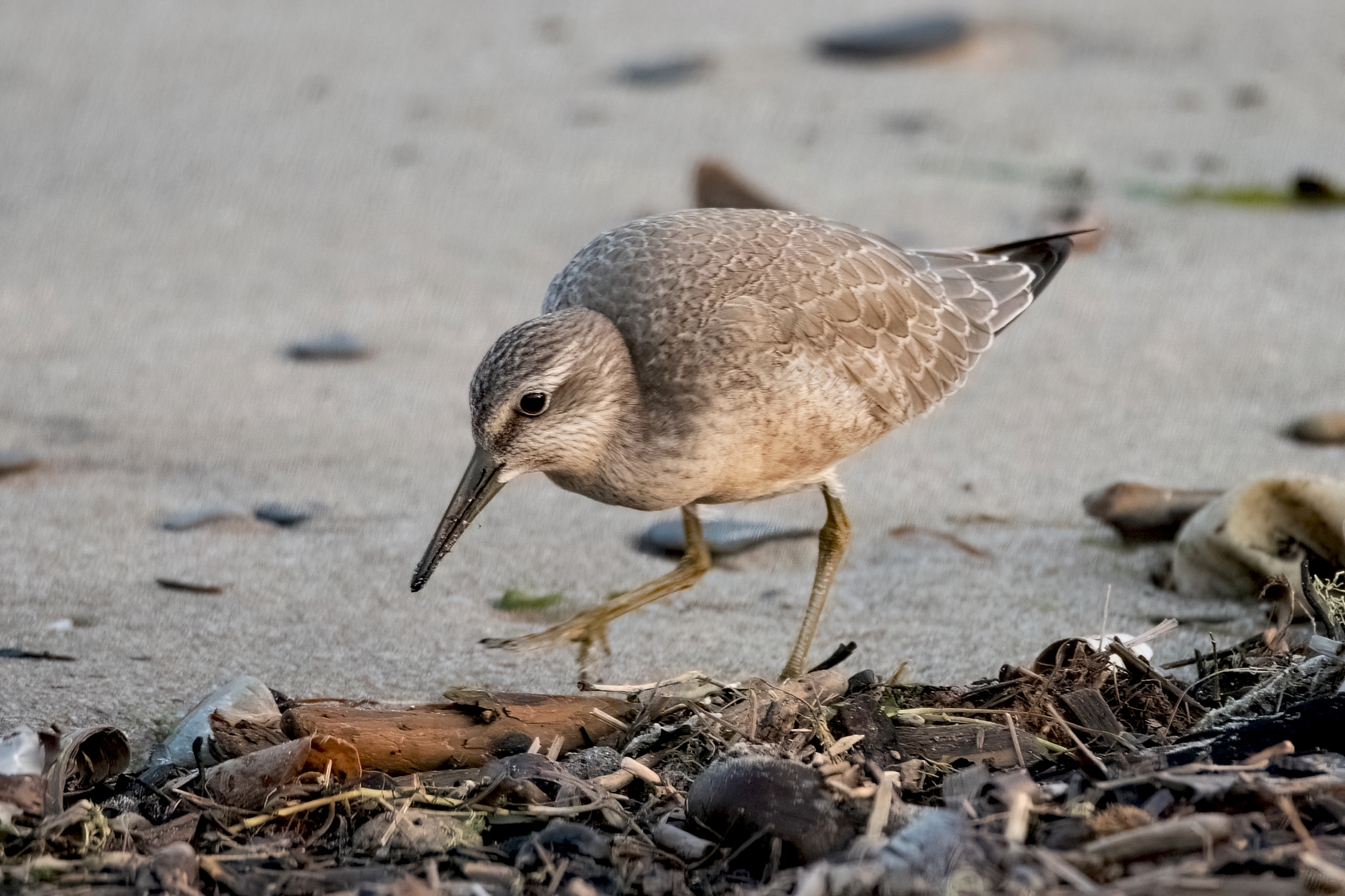 blog photo