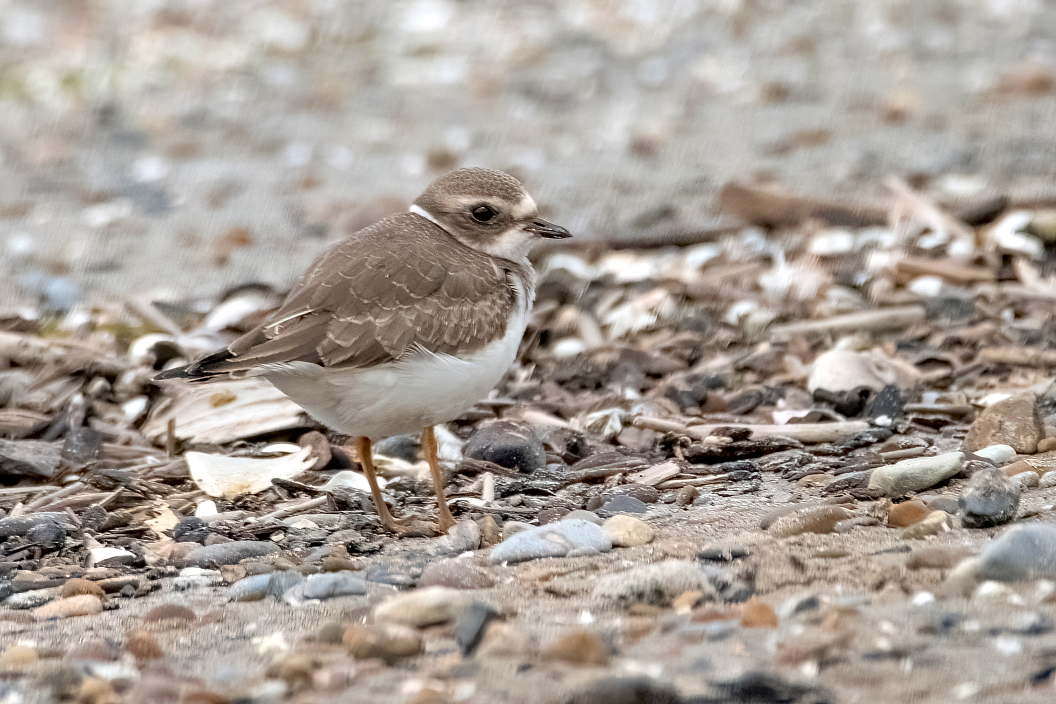 blog photo