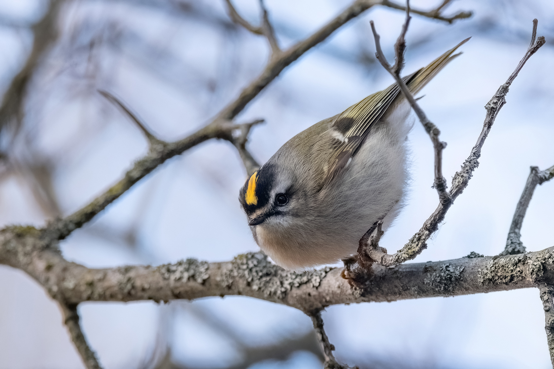 blog photo