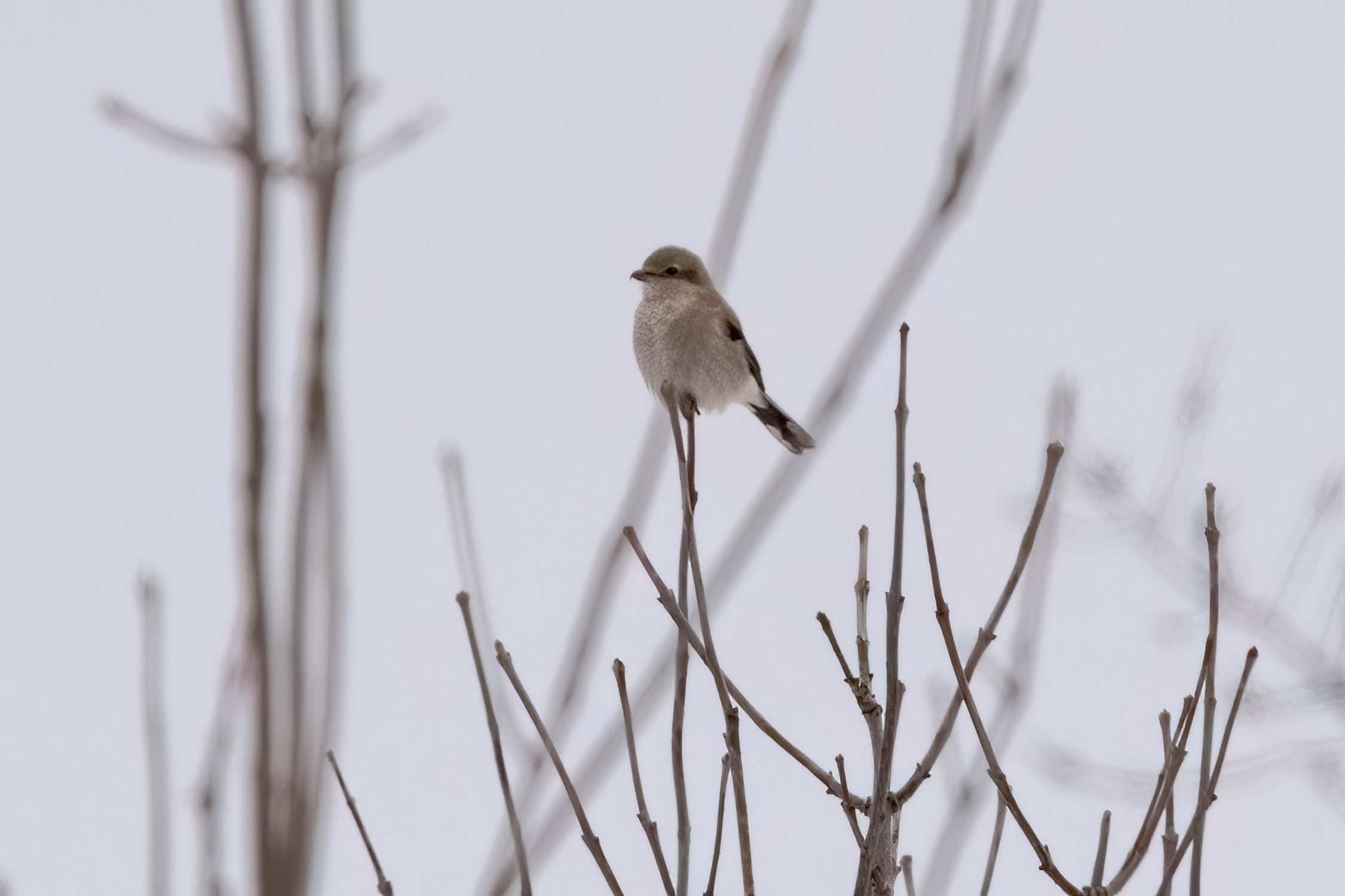blog photo
