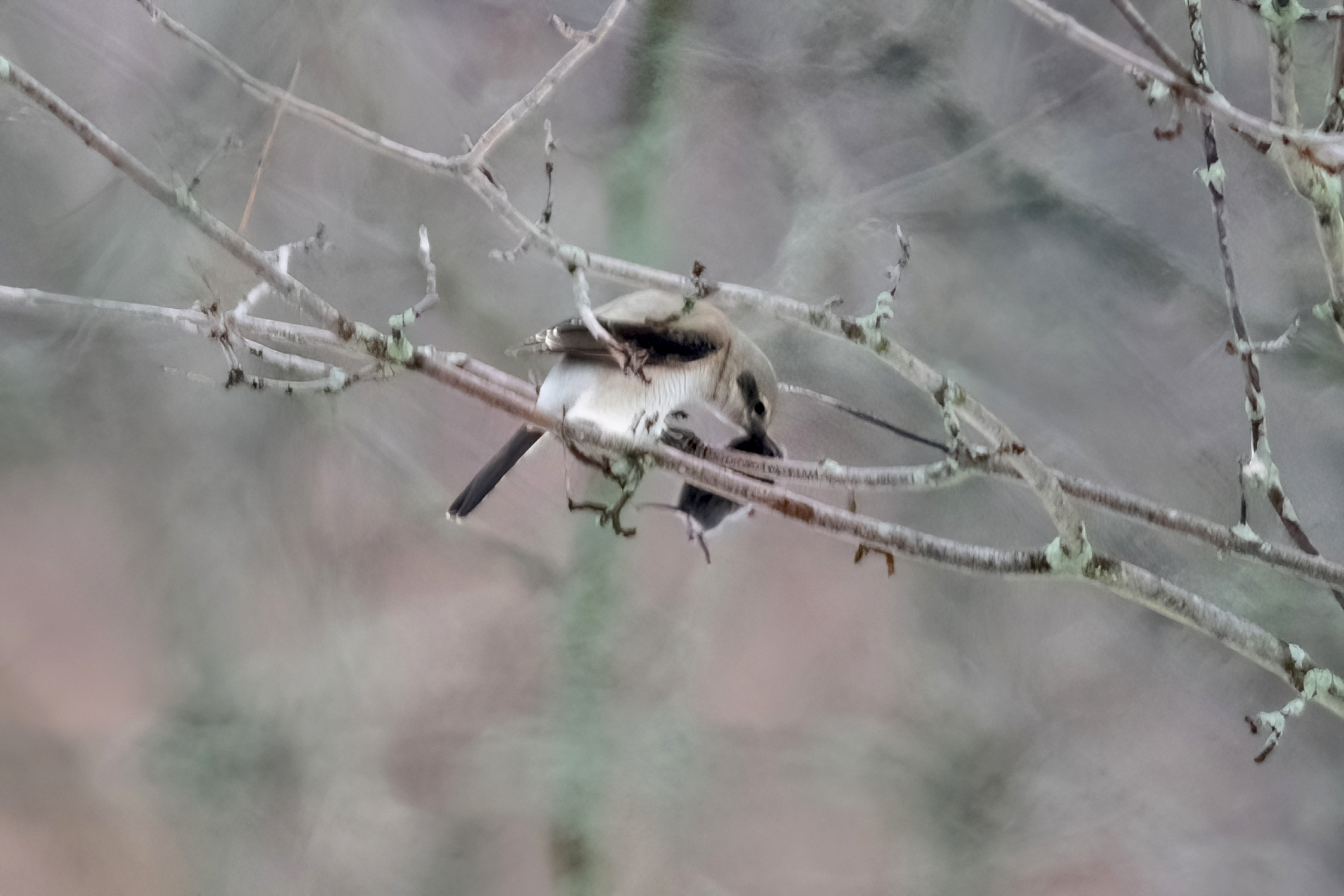 blog photo