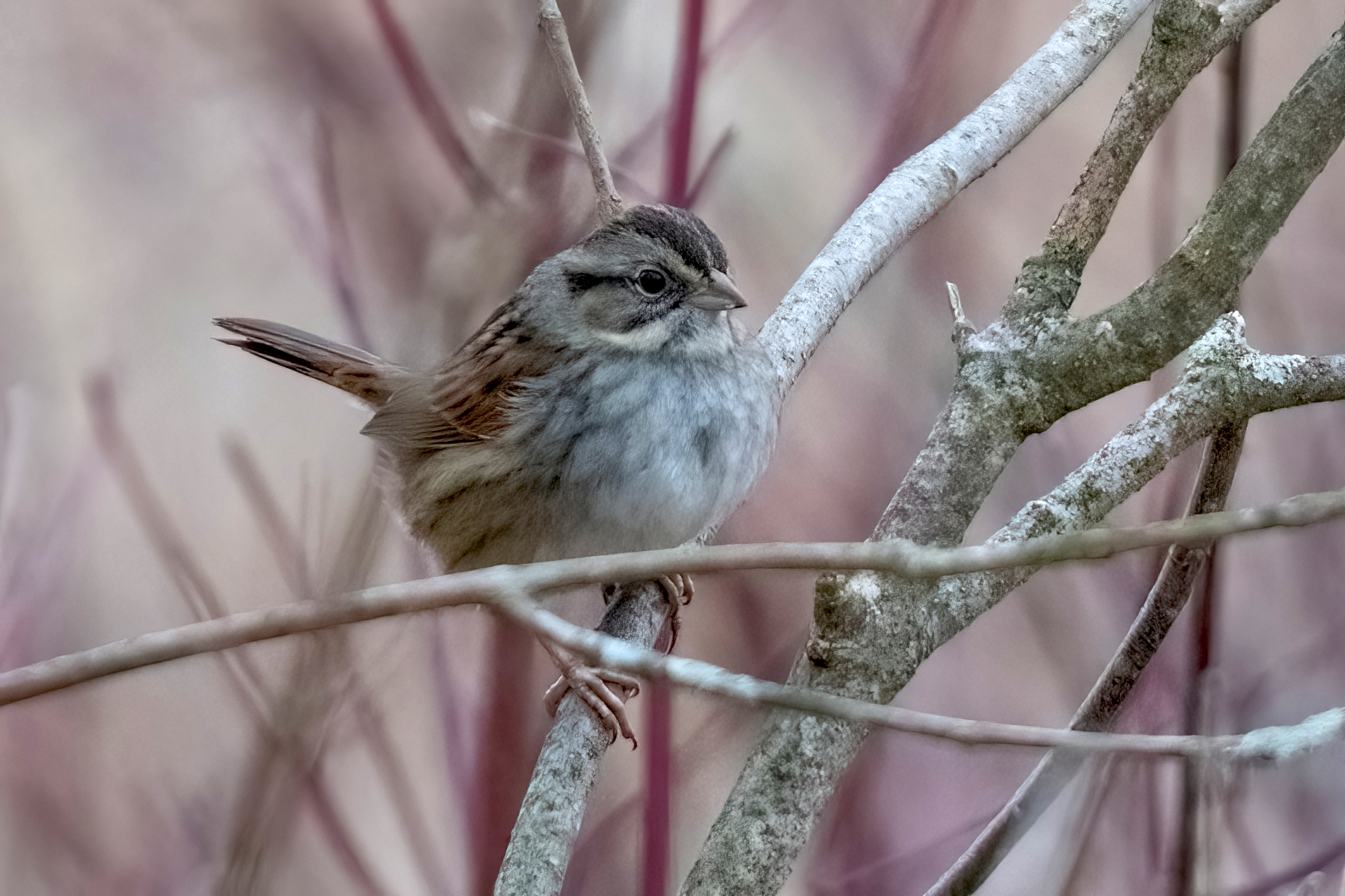 blog photo