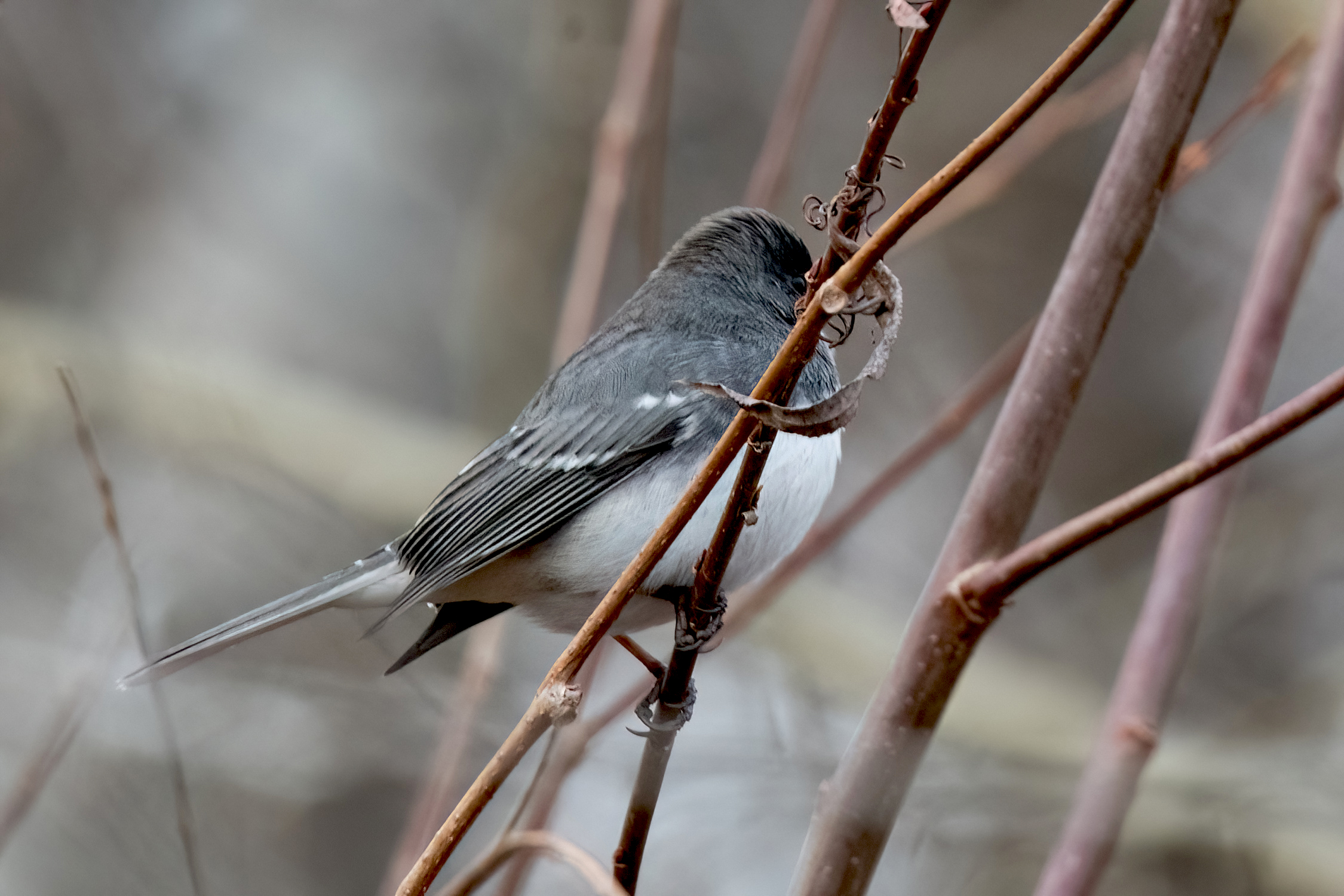 blog photo