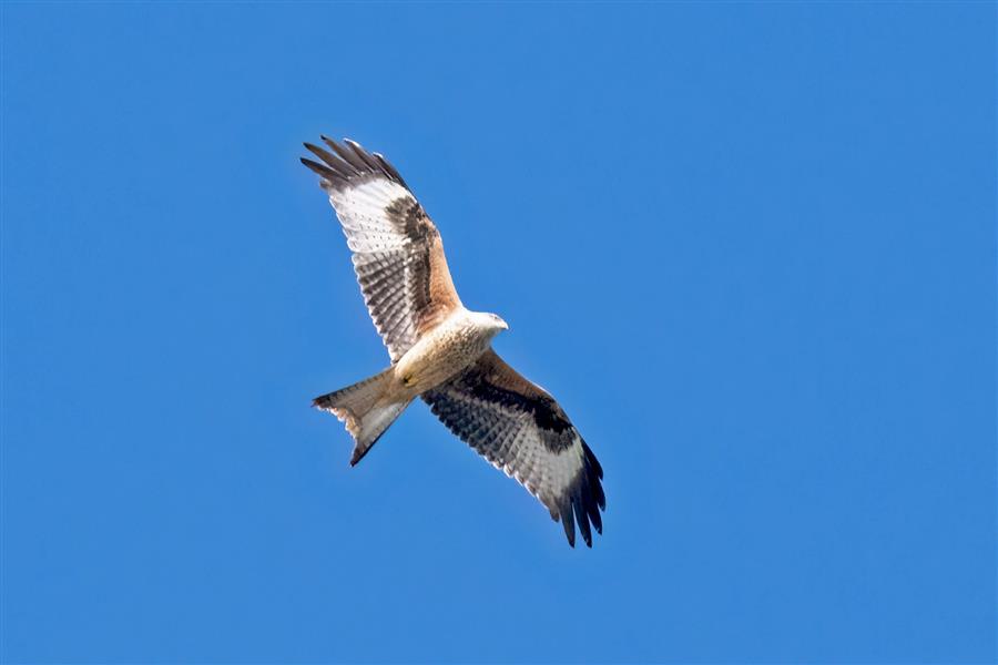 blog photo