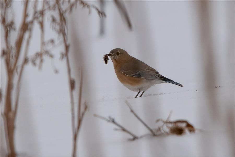 blog photo