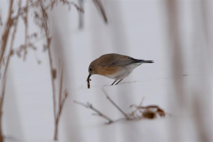 blog photo