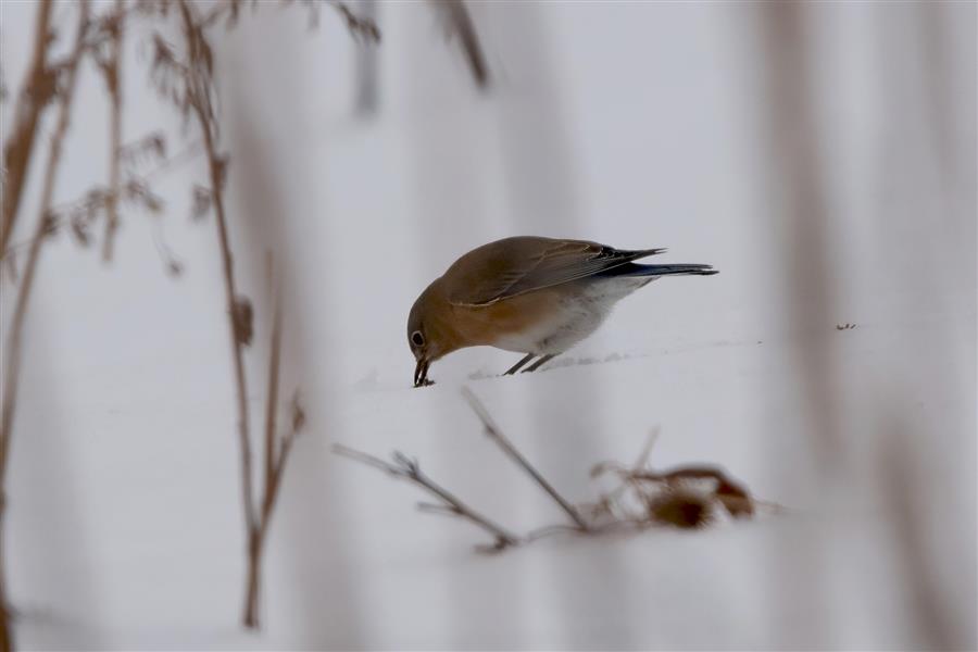 blog photo