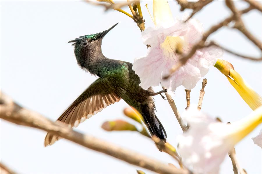 blog photo