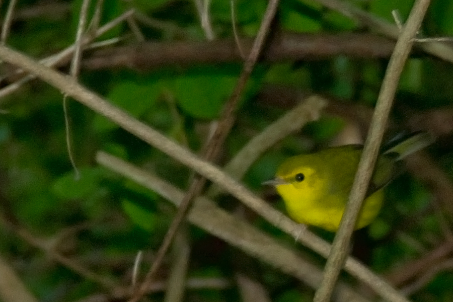 blog photo