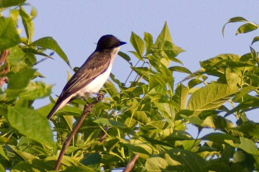 blog photo